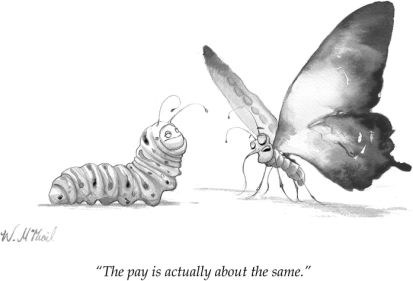 Cartoon by Will McPhail

New Yorker Magazine

September 21, 2015