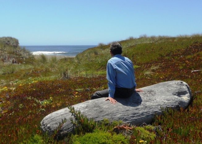 Photography by Alexandra Lindsey Platt - Point Reyes, California, USA - 1:56pm Sunday July 17, 2011