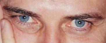 Napa Valley, California, USA