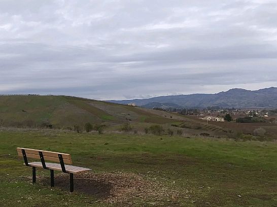 Photography by Laurence Platt

Alston Park, Napa Valley, California, USA

2:43:05pm Monday January 7, 2019