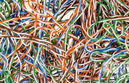 Photograph courtesy shutterstock.com