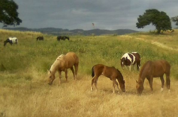 Photography by Laurence Platt