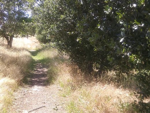 Photography by Laurence Platt

Coombsville Appellation, Napa Valley, California, USA

3:28:07pm PDT Tuesday May 19, 2020